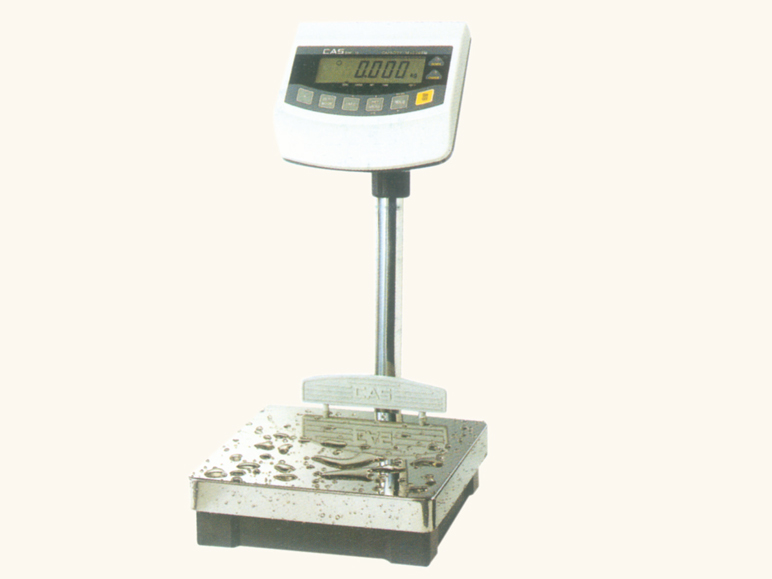 BW直流兩用平臺(tái)秤